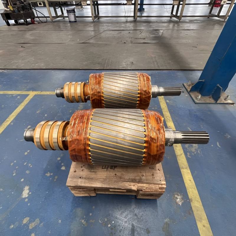 大功率直流无刷牵引电机